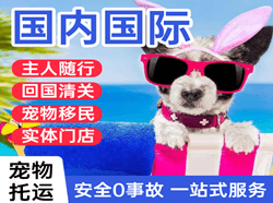 珠海金湾机场快递国际宠物托运 【国